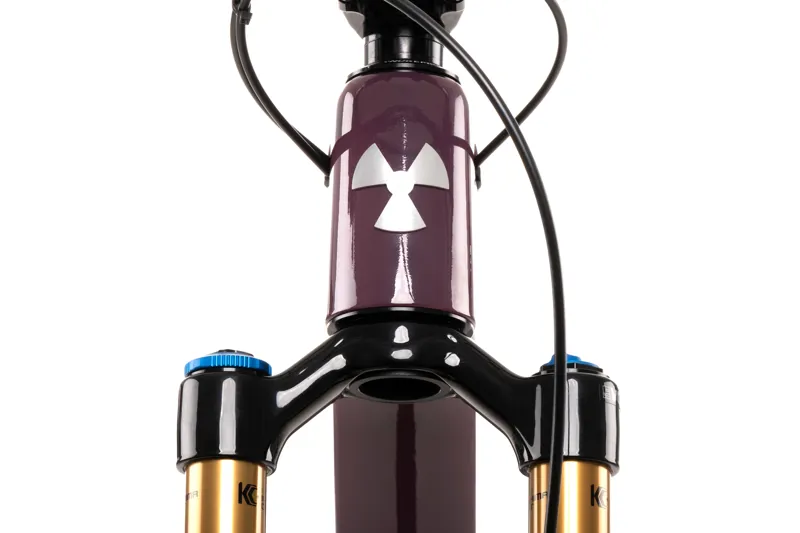 NukeProof Reactor 290 ST factory 29er Mountain Bike 2021 Oubergine-3